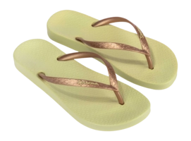 4---IP 81030_BO361_10_2026-_no-bg