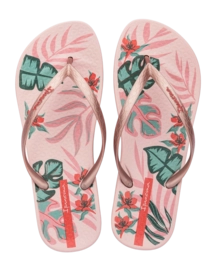 2---IP 83759_BL502_00_2026-_no-bg