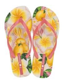 2---IP 27357_BN165_00_2026-_no-bg