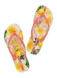 4---IP 27357_BN165_12_2026-_no-bg