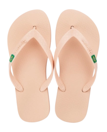 2---IP 80408_BO521_00_2026-_no-bg