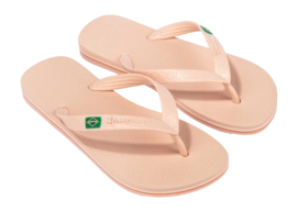 3---IP 80408_BO521_10_2026-_no-bg