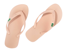 4---IP 80408_BO521_11_2026-_no-bg