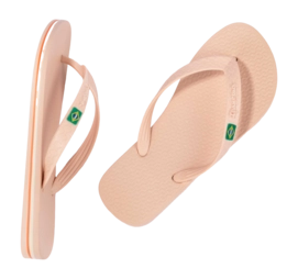 5---IP 80408_BO521_12_2026-_no-bg