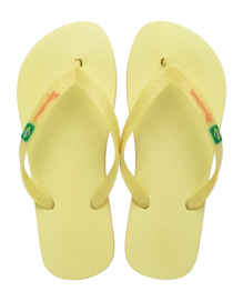 2---IP 80408_BO501_00_2026-_no-bg