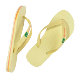 3---IP 80408_BO501_12_2026-_no-bg