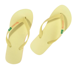 4---IP 80408_BO501_11_2026-_no-bg