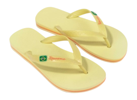 5---IP 80408_BO501_10_2026-_no-bg