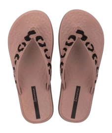 2---IP 83772_BP081_00_2026-_no-bg