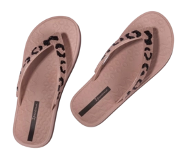 3---IP 83772_BP081_11_2026-_no-bg