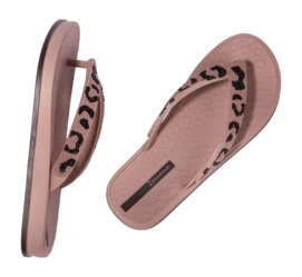 4---IP 83772_BP081_12_2026-_no-bg