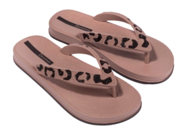 5---IP 83772_BP081_10_2026-_no-bg