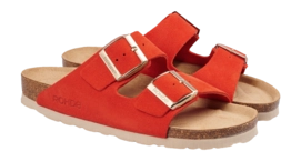 2---1-sunnys_no12_5590-40-_no-bg