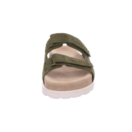 13---6279 66_06