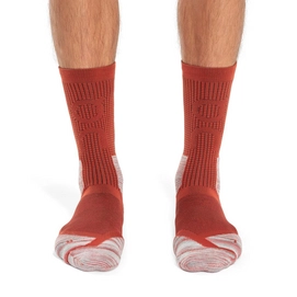 Small PNG-386.01195-explorer_merino_sock-ss23-chili_red-m-g1