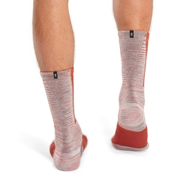 Small PNG-386.01195-explorer_merino_sock-ss23-chili_red-m-g2