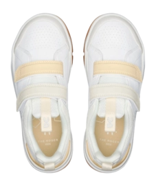 download - 2026-01-27T094429.685