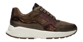 Sneaker Xsensible Women Golden Gate Stretchwalker Bronze Combi