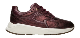 Sneaker Xsensible Women Ponte Vecchio Stretchwalker Bordeaux