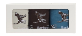 Sok Barbour Men Pointer Dog Socks Gift Box Bluestone