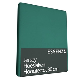 Spannbettlaken Essenza Grün Mint (Jersey)-Lits-Jumeaux XL (180/200 x 200/210/220 cm)