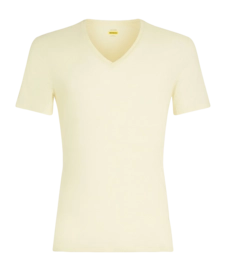 T-Shirt Icebreaker Men Anatomica SS V Undyed
