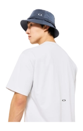 FOA408796__20K_omdtl2