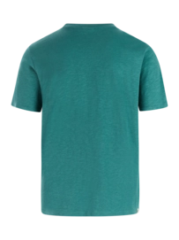 3---1727200_586_back