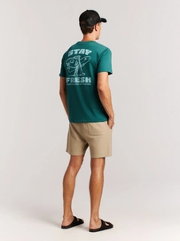8---17761011_586_model_back-full_01