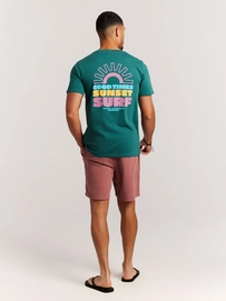 8---17761013_586_model_back-full_01