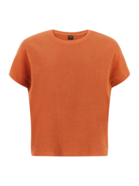 T-Shirt Protest Women PRTLouas Sugar Brown