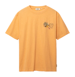 T-Shirt Shiwi Men FINN Banana Breeze Orange Glow