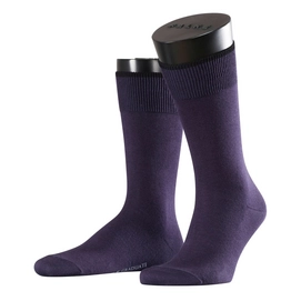 Sokken Falke Graduate Tanzanite