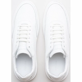 taylor-triangle-0700-wht_top