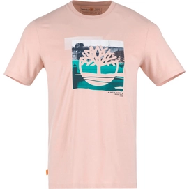T-Shirt Timberland SS Coast Graphic Tee Men Cameo Rose-S