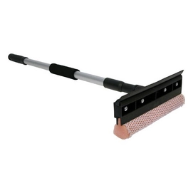 Raamtrekker Met Telescopische Steel Carpoint 20 Centimeter