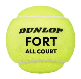 045566181701601607dt24fort20all20court204ball3 (1)