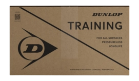 2---605066_DT24_Training_72Ball_Carton_1-_no-bg