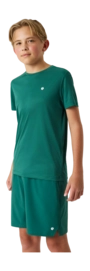 Tennisshirt Björn Borg Kids Ace Light Posy Green