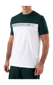 Tennisshirt Sjeng Sports Men Bing Retro Green