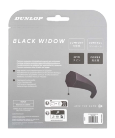 2---10365017_DT25_BLACK_WIDOW_16G_BK_12M_SET_2-_no-bg