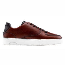 Sneakers Rehab Men Thabo Classic Brown