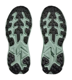 download - 2026-06-16T081210.522
