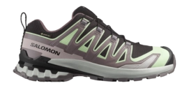 Trailrunning Schoen Salomon Women XA Pro 3D V9 GTX Black / Patina Green / Gray Violet