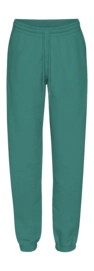 Pantalon de Survêtement Colorful Standard Unisexe Organic Sweatpants Pine Green