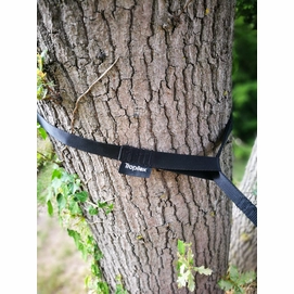 tree-strap-2