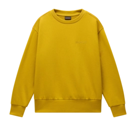 Trui Napapijri Women B-Campido Crew Gold Flake