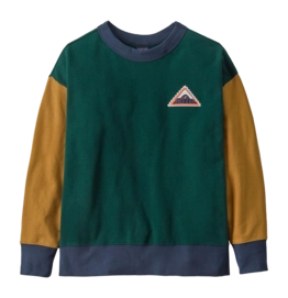 Trui Patagonia Kids Crew Sweatshirt Driftways Patch: Cascade Green