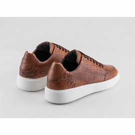 tygo-ii-croco-421-8000-brwn_achter