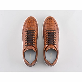 tygo-ii-croco-421-8000-brwn_topdown